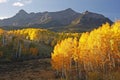 Mount Sneffels Range, Colorado Royalty Free Stock Photo