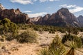 Mount Spry and Bridge Mountain In Zion