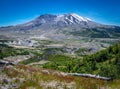 Mount St Helens from the Johnson Ridge Observatory and wildflowers