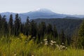 Mount St Helens in Washington State Royalty Free Stock Photo