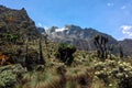 Scenic view of Mount Stanley in the Rwenzori Mountains
