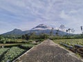 Mount Sumbing, Mount Sindoro, Central Java Royalty Free Stock Photo