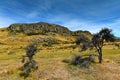 Mount Sunday, Lord of the Rings movie filming location for Edoras scene, in New Zealand