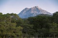 Mount Tahtali behind forest