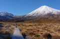 Mount Taranaki, Mount. Egmont National Park, New Zealand Royalty Free Stock Photo