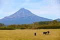 Mount taranaki in new zealand Royalty Free Stock Photo