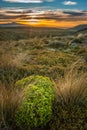 Mount Taranaki at sunset New Zealand perfect volcano mountain Royalty Free Stock Photo