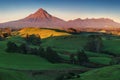 Mount Taranaki under the blue sky with grass field and cows as a foreground in the Egmont National Park. Symmetrical volcano. Royalty Free Stock Photo