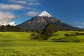 Mount Taranaki under the blue sky with grass field and cows as a foreground in the Egmont National Park. Royalty Free Stock Photo