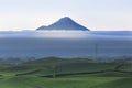 Mount Taranaki under the blue sky with grass field and cows as a foreground in the Egmont National Park. New Zealand Royalty Free Stock Photo