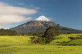 Mount Taranaki under the blue sky with grass field and cows as a foreground in the Egmont National Park. New Zealand Royalty Free Stock Photo