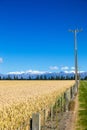 Mount Taylor and Mount Hutt scenery in south New Zealand