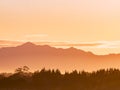 Mount Te Aroha mountain view over forest