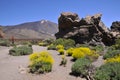 Mount Teide at Canary island