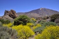 Mount Teide at Canary island