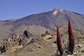 Mount Teide at Canary islands