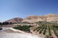 Mount of Temptation near the city of Jericho, Jordan Valley, Palestine, Israel Royalty Free Stock Photo