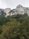 Mount tianzhu tone rock pine tree