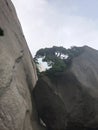 Mount tianzhu tone rock pine tree