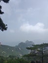 Mount tianzhu tone rock pine tree