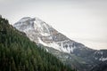 Mount Timpanogos at sunset Royalty Free Stock Photo