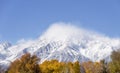 Mount Tom With Fresh Snow