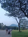 Mount and tree at afternoon in sentul city