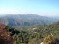 Mount Troodos at an altitude of 900 m above sea level. Cyprus. Forest landscapes on the slopes of the mountain ranges.