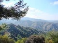 Mount Troodos at an altitude of 900 m above sea level. Cyprus. Forest landscapes on the slopes of the mountain ranges.