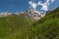 Mount Ushba in the summertime Royalty Free Stock Photo