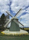 Mount Vernon, WA USA March, 26 2015. Every year in April Skagit Valley Tulip Festival is held in the North West of Washington.