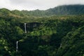 Mount Waialeale known as the wettest spot on Earth, Kauai, Hawaii