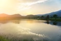 Mount Warning river sugar cane and sun