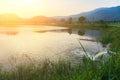 Mount Warning river sugar cane and sun