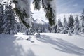 Mount Washington Snowfield