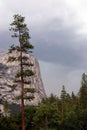 Mount Watkins Huddling Under Dense Storm Clouds Behind a Tall Tree Royalty Free Stock Photo