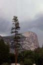 Mount Watkins Under Dense Storm Clouds Behind a Single Tree Royalty Free Stock Photo