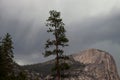 Mount Watkins Under Heavy Storm Clouds Behind a Single Tree