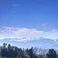 Mount Zao national park in winter season , Miyagi, Japan Royalty Free Stock Photo