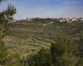 Mountain Agriculture in Israel Royalty Free Stock Photo