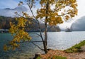 Mountain alpine autumn misty morning lake Konigssee, Schonau am Konigssee, Berchtesgaden national park, Bavaria, Germany Royalty Free Stock Photo