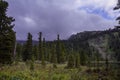 Mountain alpine landscape with Karakol lake and forest