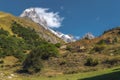 Mountain alpine meadows wirh mountain Ushba clouds