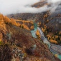 Mountain Altai in the fall, twilight, the Argut river. Beautiful autumn landscape, valley, mountains, river, autumn trees