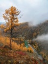 Mountain Altai in the fall, twilight, the Argut river. Beautiful