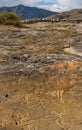 Petroglyphs Of The Altai Mountains