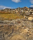 Petroglyphs Of The Altai Mountains