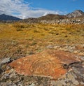 Petroglyphs Of The Altai Mountains