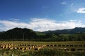 Mountain and apiary