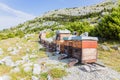 Mountain apiary in Croatian mountains